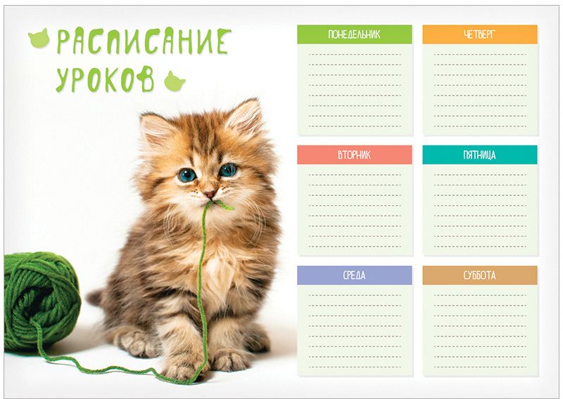 Изображения.